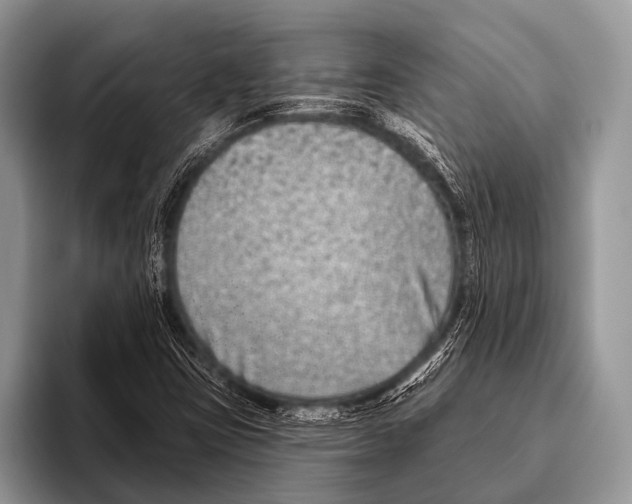 X0000095931403200802081207