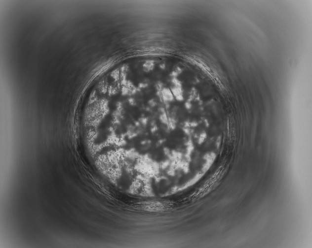 X0000095931405200802081207