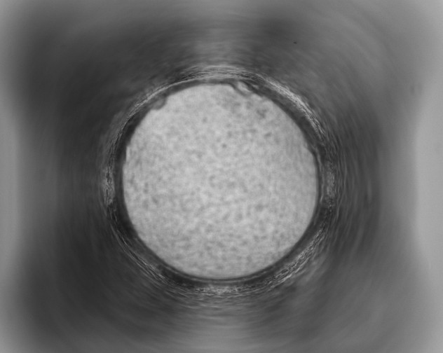 X0000095931407200802081207