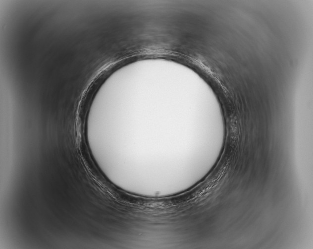 X0000095931408200802081207