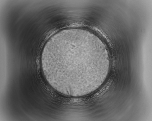 X0000095931409200802081207