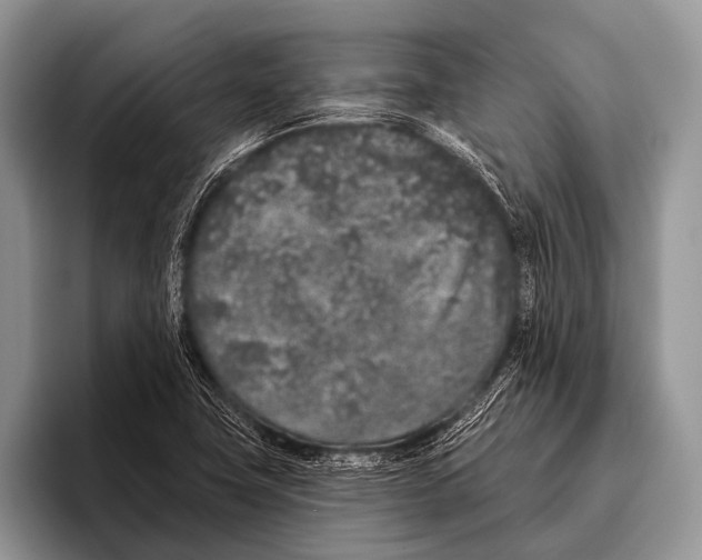 X0000095931411200802081207