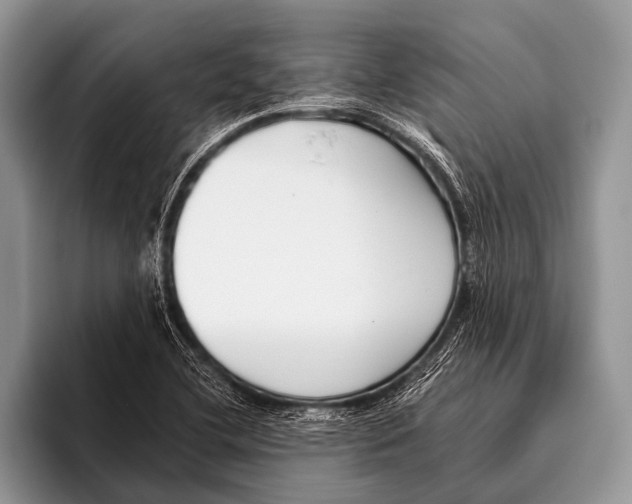 X0000095931412200802081207