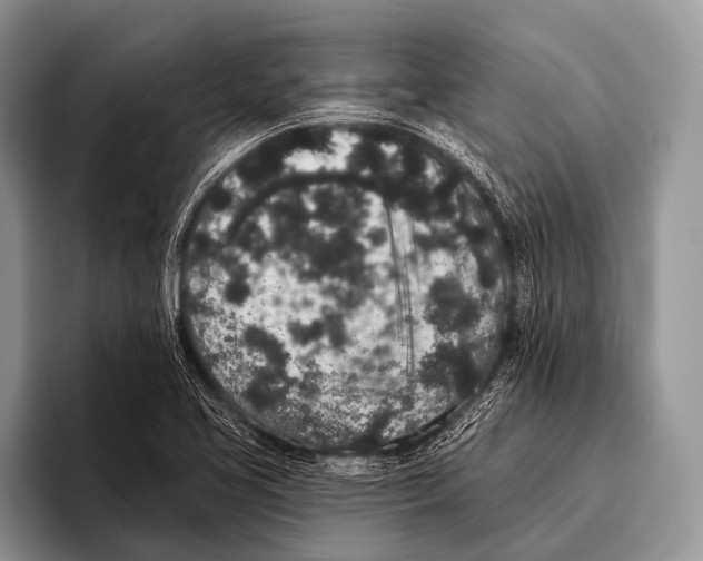 X0000095931413200802081207