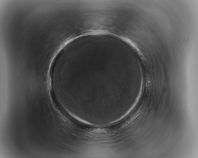 X0000095931414200802081207