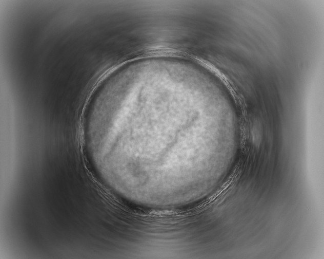 X0000095931415200802081207