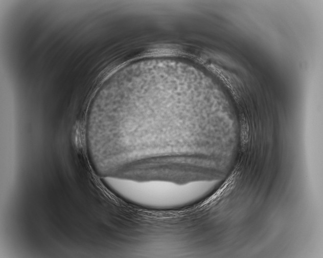 X0000095931417200802081207