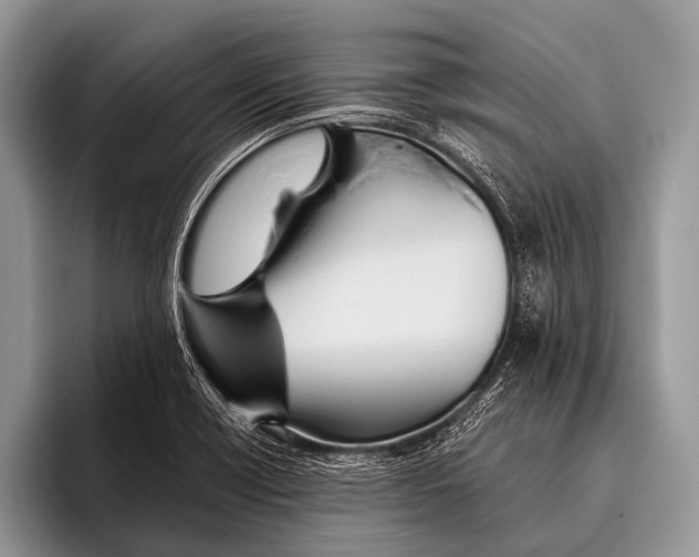 X0000095931418200802081207