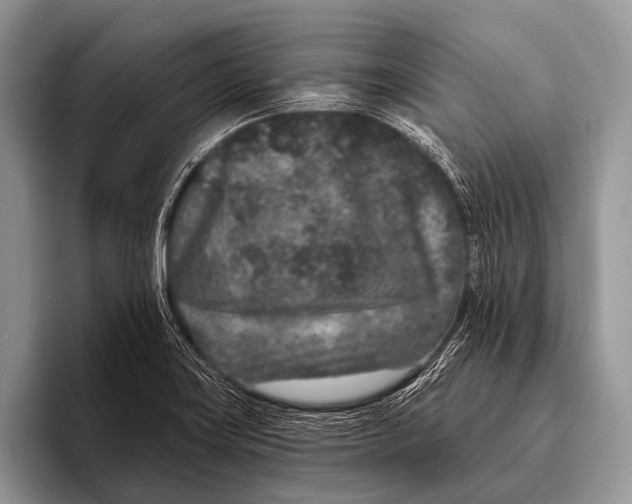 X0000095931419200802081207