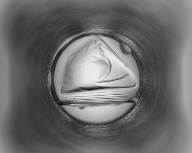 X0000095931420200802081207