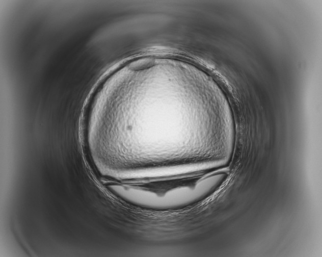 X0000095931421200802081207