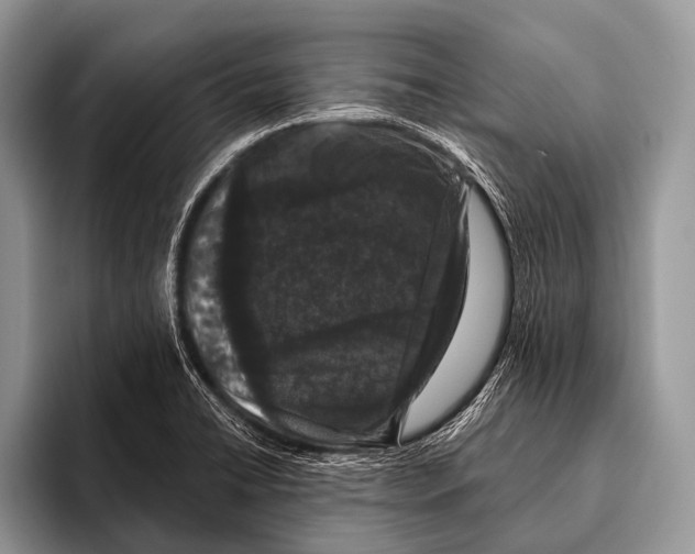 X0000095931422200802081207