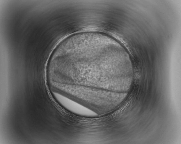 X0000095931423200802081207
