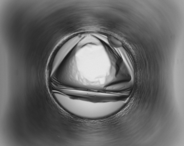 X0000095931424200802081207