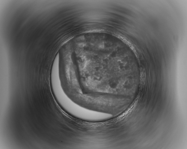 X0000095931425200802081207
