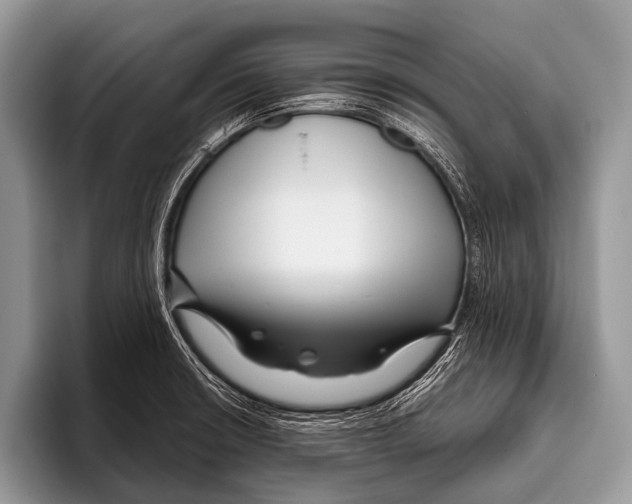 X0000095931426200802081207