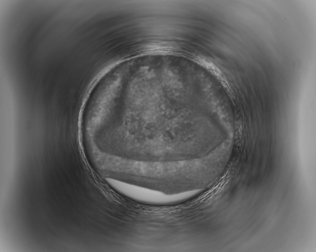 X0000095931427200802081207