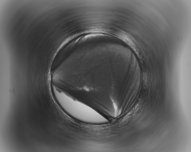 X0000095931428200802081207
