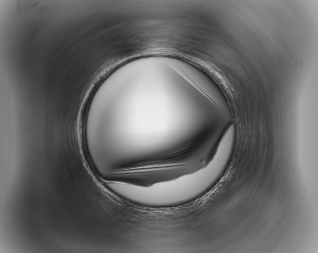 X0000095931430200802081207