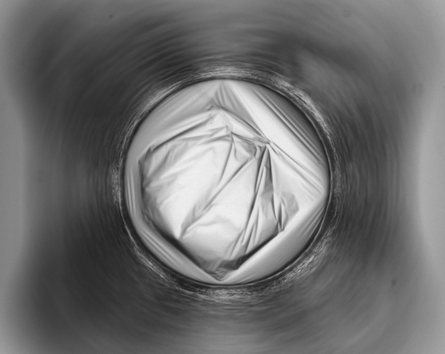X0000095931433200802081207