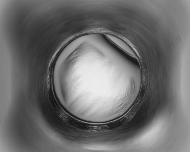 X0000095931438200802081208