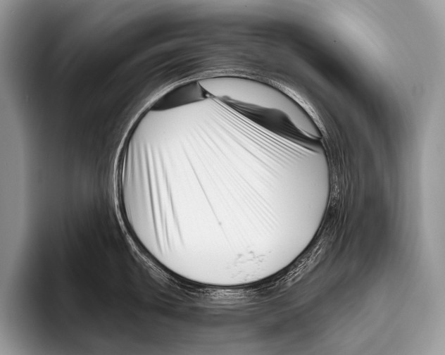 X0000095931439200802081208