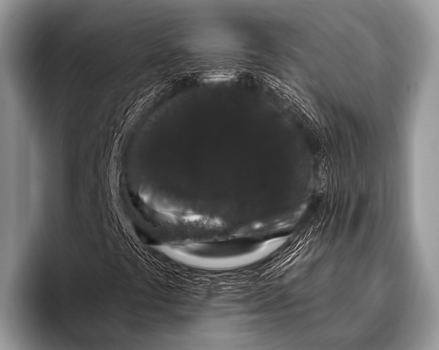 X0000095931441200802081207