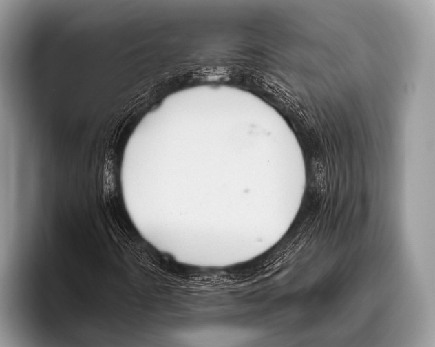 X0000095931442200802081207