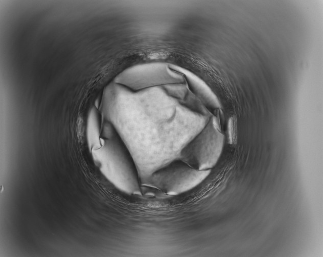 X0000095931443200802081207