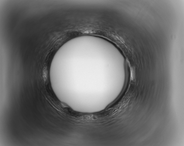 X0000095931444200802081207