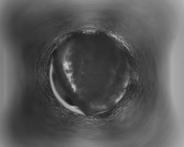X0000095931445200802081207