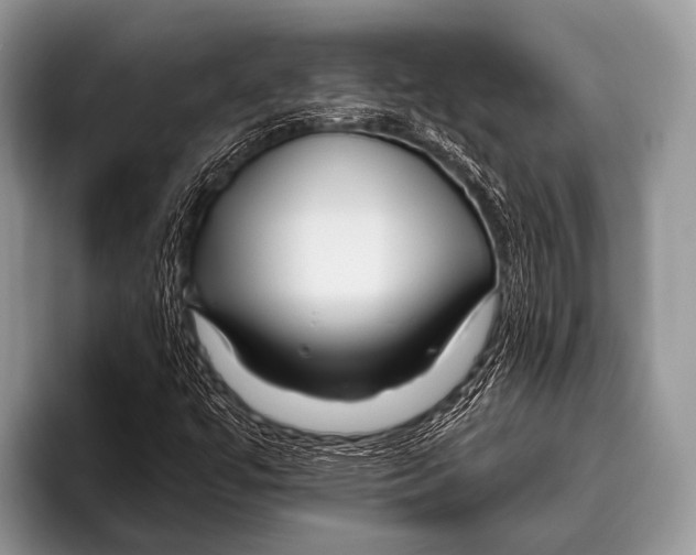 X0000095931447200802081207