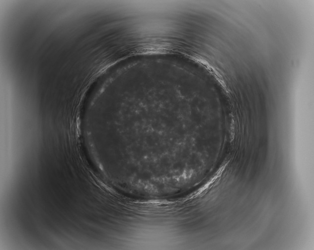 X0000095931449200802081207