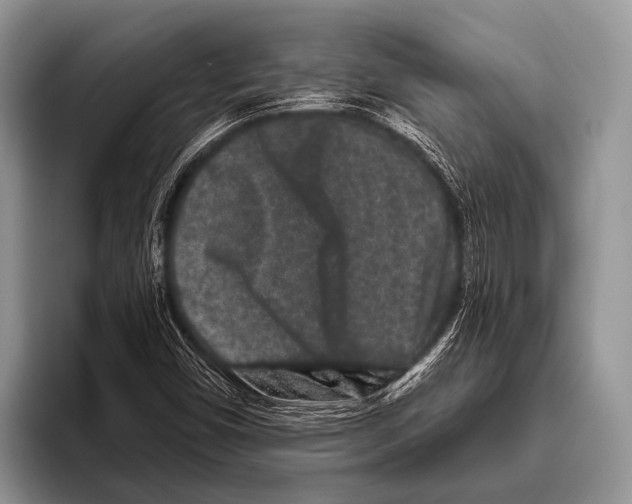 X0000095931450200802081207