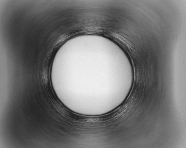 X0000095931451200802081207