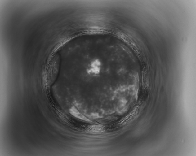 X0000095931453200802081207