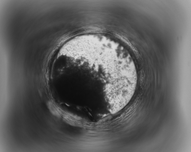 X0000095931455200802081207