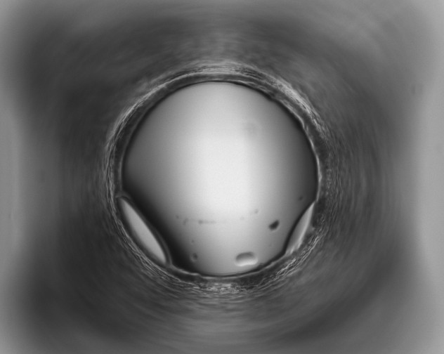 X0000095931456200802081207