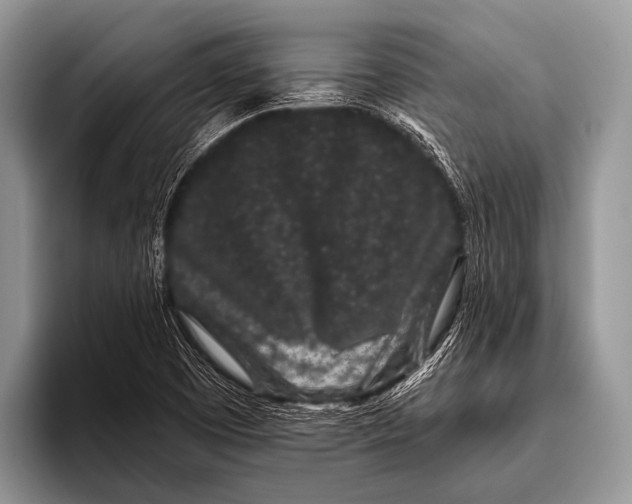 X0000095931457200802081207