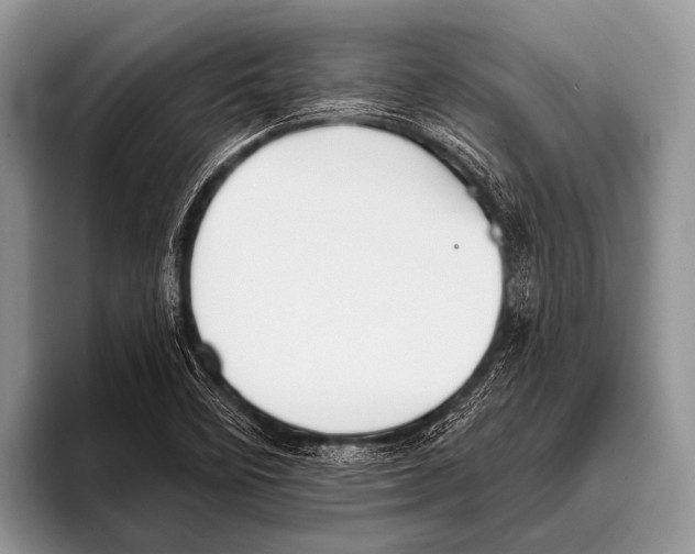 X0000095931458200802081207