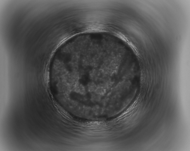 X0000095931459200802081207