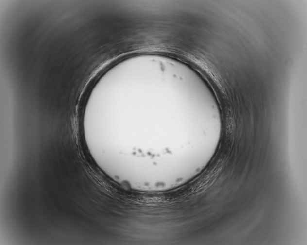 X0000095931460200802081207