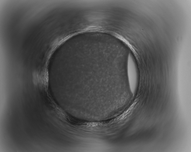 X0000095931461200802081207