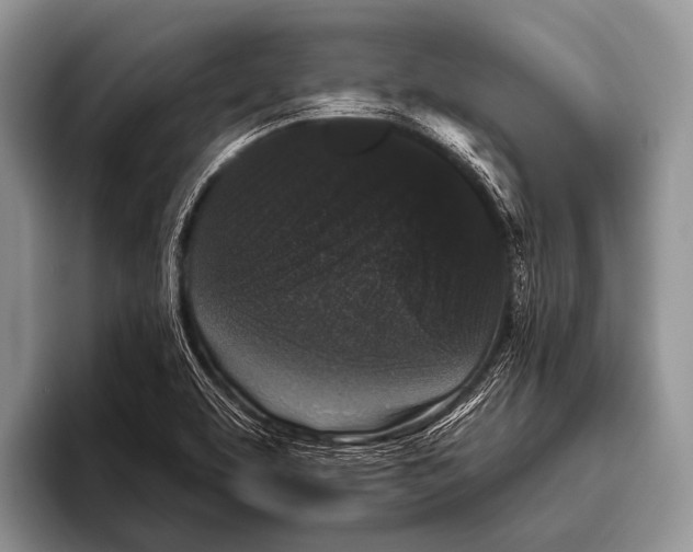 X0000095931463200802081207