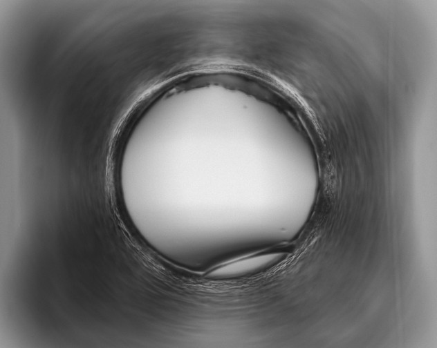 X0000095931464200802081207