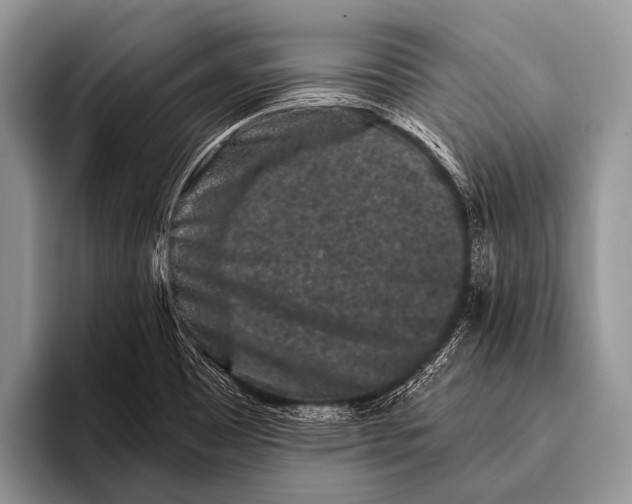 X0000095931465200802081207