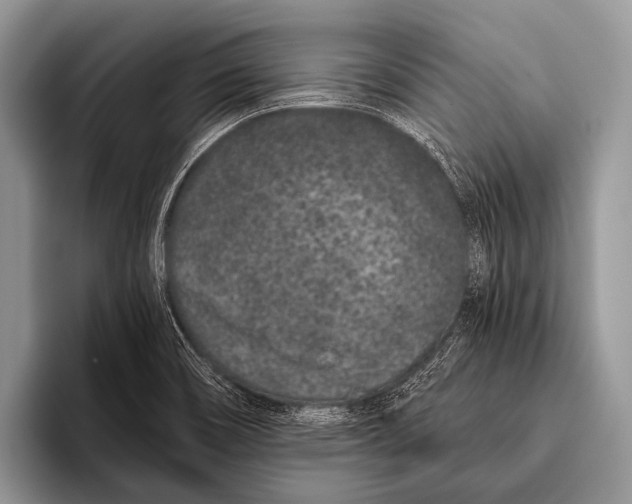 X0000095931466200802081207