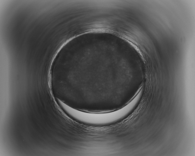 X0000095931468200802081207