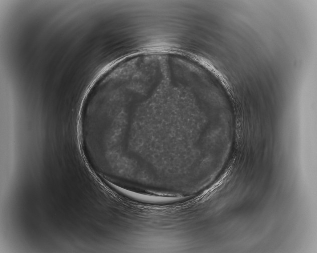 X0000095931469200802081207
