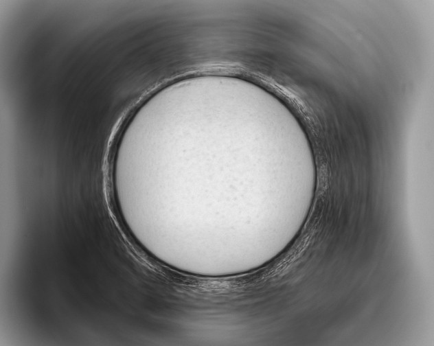 X0000095931470200802081207